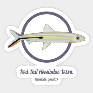 Red Tail Hemiodus Tetra Sticker